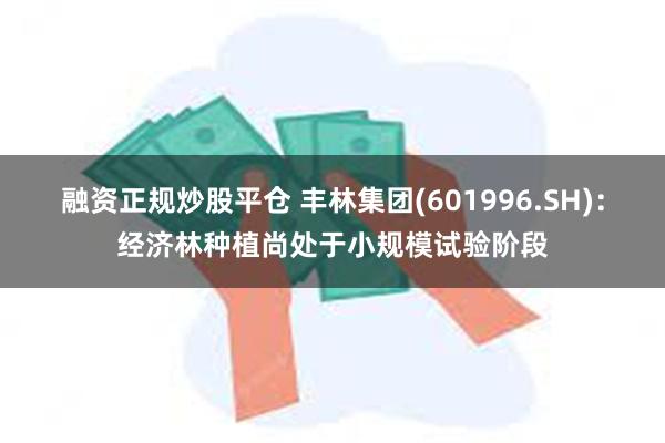 融资正规炒股平仓 丰林集团(601996.SH)：经济林种植尚处于小规模试验阶段