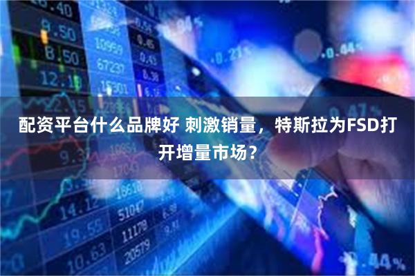 配资平台什么品牌好 刺激销量，特斯拉为FSD打开增量市场？