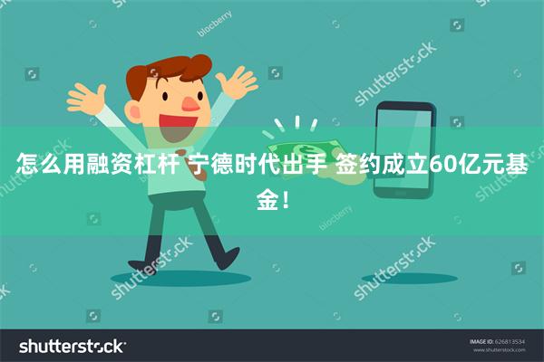 怎么用融资杠杆 宁德时代出手 签约成立60亿元基金！