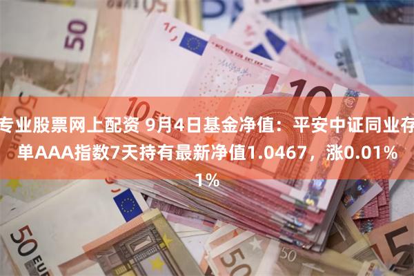 专业股票网上配资 9月4日基金净值：平安中证同业存单AAA指数7天持有最新净值1.0467，涨0.01%