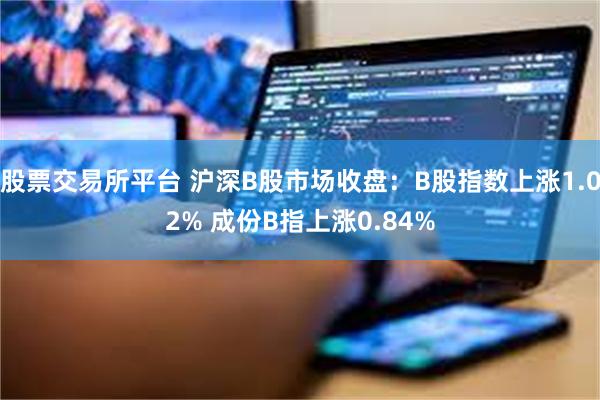 股票交易所平台 沪深B股市场收盘：B股指数上涨1.02% 成份B指上涨0.84%