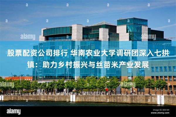 股票配资公司排行 华南农业大学调研团深入七拱镇：助力乡村振兴与丝苗米产业发展