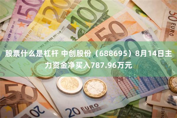 股票什么是杠杆 中创股份（688695）8月14日主力资金净买入787.96万元