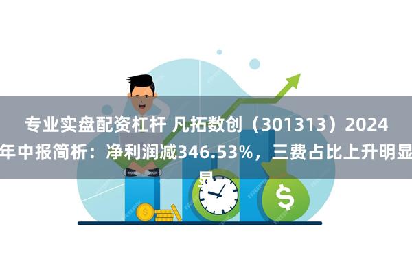 专业实盘配资杠杆 凡拓数创（301313）2024年中报简析：净利润减346.53%，三费占比上升明显