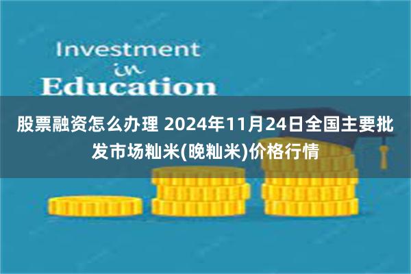 股票融资怎么办理 2024年11月24日全国主要批发市场籼米(晚籼米)价格行情