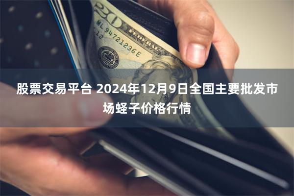 股票交易平台 2024年12月9日全国主要批发市场蛏子价格行情