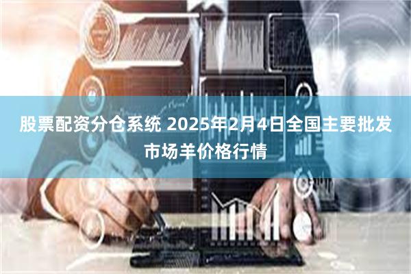 股票配资分仓系统 2025年2月4日全国主要批发市场羊价格行情